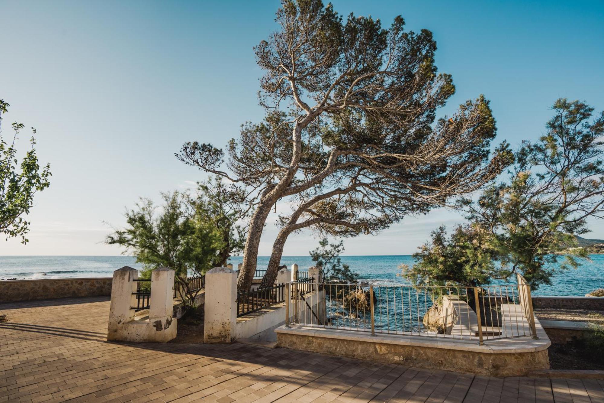 Sa Punta Duplex Cala Ratjada Apartment Кала Ратхада Екстериор снимка